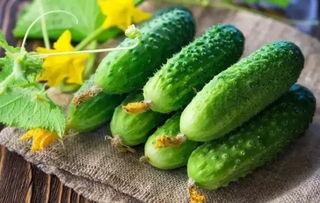 51吃大瓜官网有啥功能,一站式娱乐资讯平台，畅享丰富功能体验”