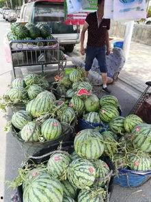 新沂网红吃瓜事件视频,一场网络狂欢背后的真相揭秘